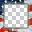 Buddy Icon - USA Flag